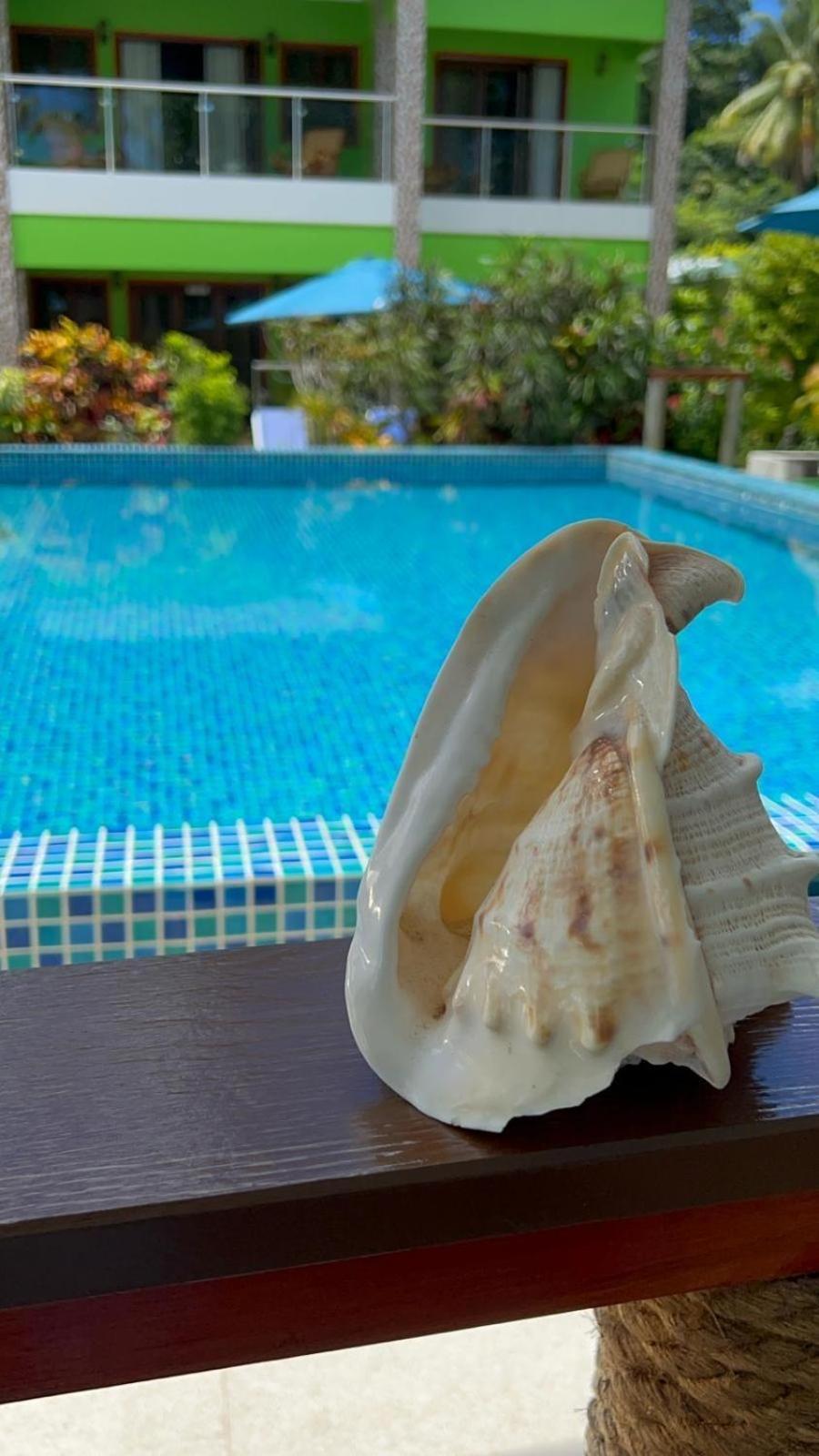 Benjamine'S Guesthouse 라디게 외부 사진